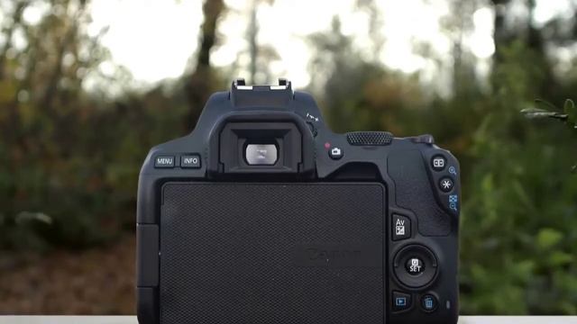 ✅ 2021 Review CANON EOS REBEL SL3 DSLR Camera | Top 5 Best Budget DSLR Cameras 2021 смотреть онлайн