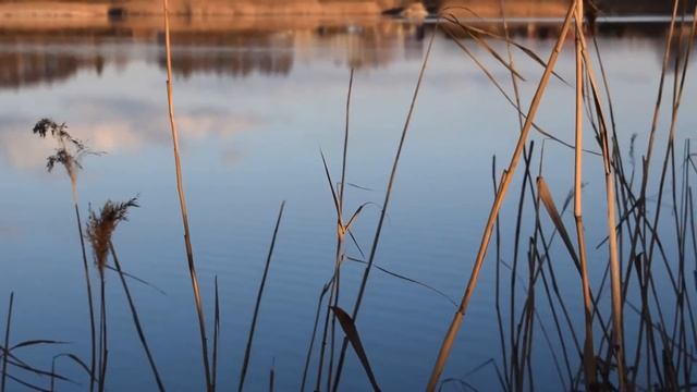 WEST LAKE - Nikon D3300 Kopacki Film смотреть онлайн