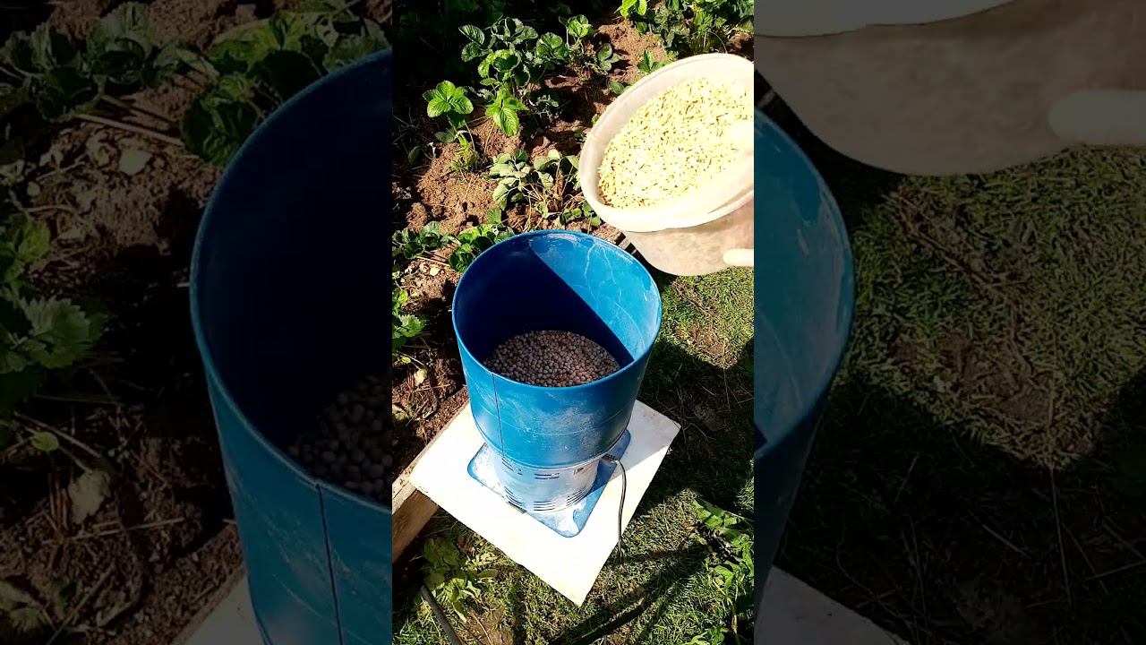 Как приготовить ЗЕРНОСМЕСЬ для кур. смотреть онлайн