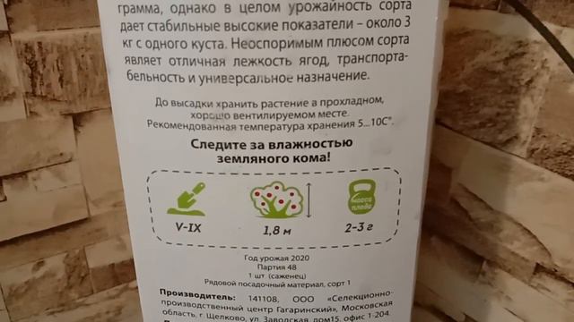 ЛУЧШАЯ МАЛИНА СОРТ КИРЖАЧ смотреть онлайн