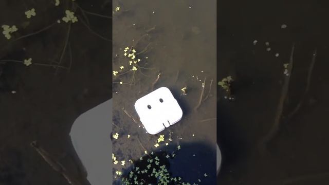 Упаковка от наушников EarPods растворяется в воде смотреть онлайн