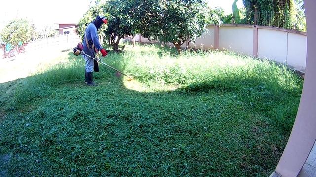 ตัดหญ้าด้วยสายเอ็น GX35 (GX35 with Trimmer line) смотреть онлайн