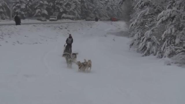 Гонка По земле Сампо смотреть онлайн