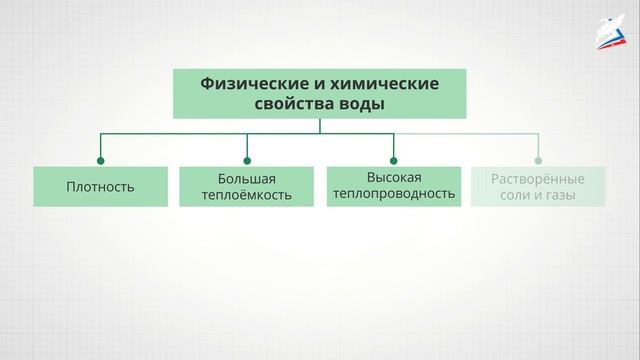 Организм и окружающая среда. Экологические факторы смотреть онлайн
