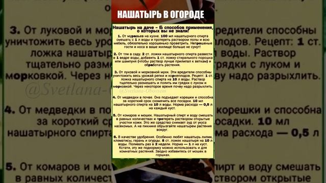 ОТ ТЛИ,ОТ МЕДВЕДКИ,ОТ МУРАВЬЕВ.#shorts смотреть онлайн