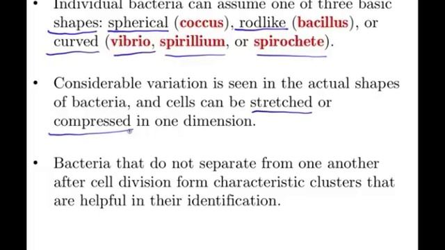 Microbiology of Bacterial Morphology & Shape смотреть онлайн