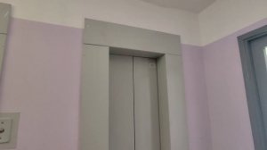 ⚫ Тёмная кабина! Лифт МЛМ («Невский лифт») 2019 года // Бухарестская улица д. 114 корпус 1. (СПБ).