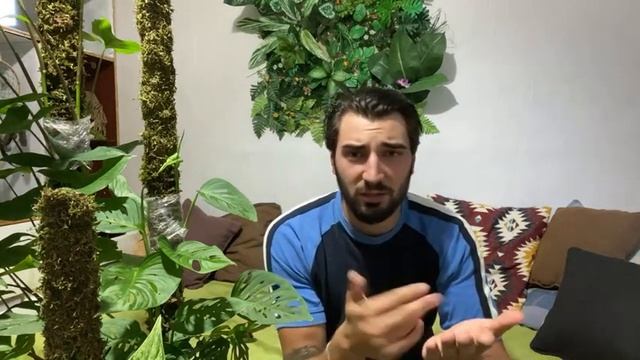 О растениях о жизни. Поболталики? смотреть онлайн