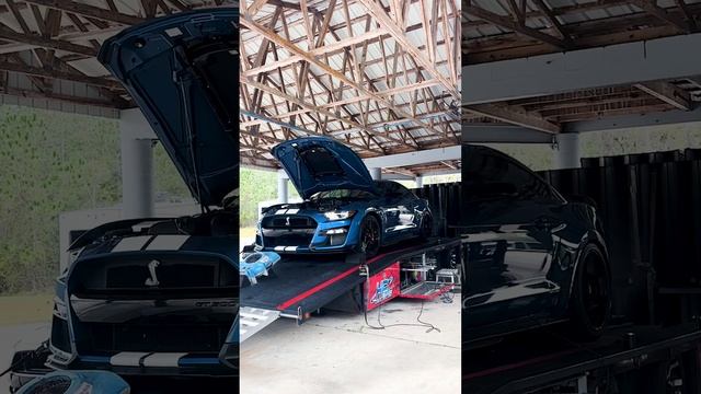 Make 800HP+ with your GT500 with these Simple Upgrades! #vmpperformance смотреть онлайн