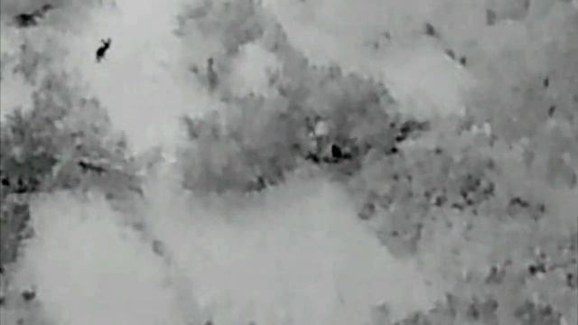 06 12 2017 - First FLIR flight - European Red Stag (Clip from 072203) смотреть онлайн