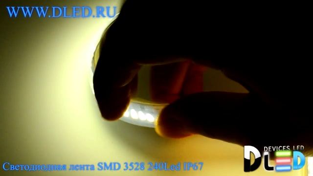Влагозащищённая светодиодная лента в трубке SMD 3528 (240 LED) ip67 Белый смотреть онлайн