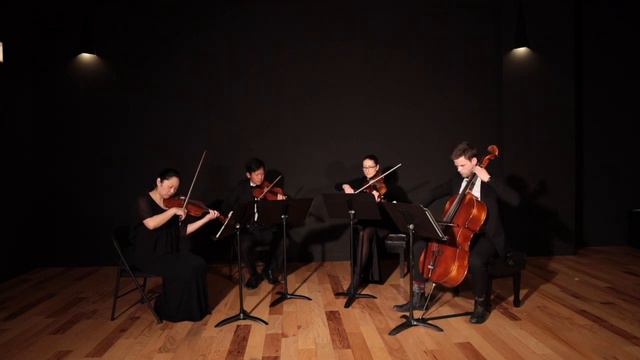 Halo | Beyonce | Castellon Ensemble смотреть онлайн
