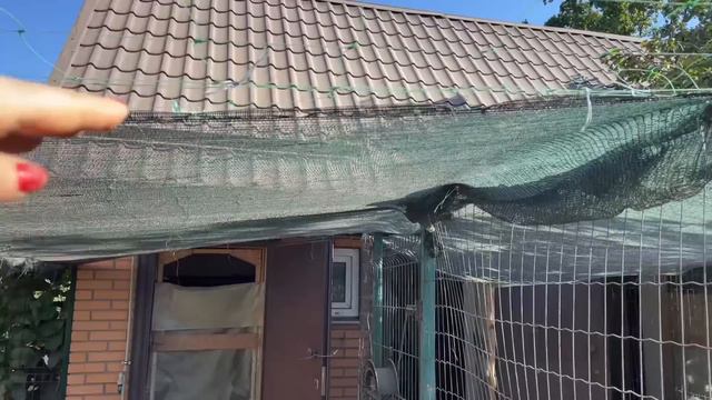 Экологические новости