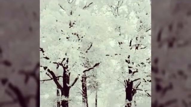 Фото от зимы. Которые остались . смотреть онлайн