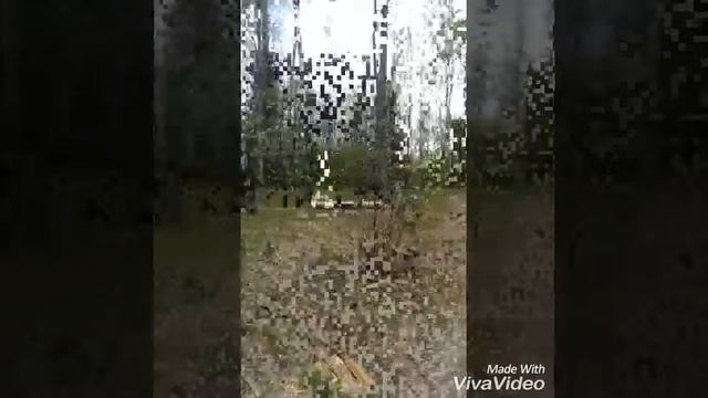 николо-ленивец смотреть онлайн