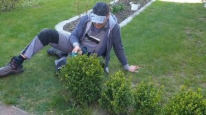 Makita 18V Akku-Grasschere DUM604 Produkttest/Vorstellung (Vergl. DUM604ZX, DUM604RFX, DUM168Z)