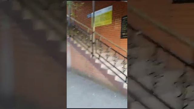 Открытие юридической фирмы по адресу: г. Краснодар, ул. Игнатова д. 10/1. смотреть онлайн