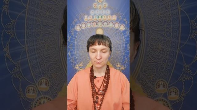 Урок 3.13 Медитация пребывания в чистом пустотном пространстве четырех Брахма-вихар. Махешвари Гири смотреть онлайн