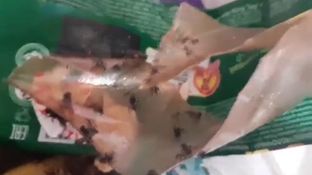 Лента для мух Х4 смотреть онлайн