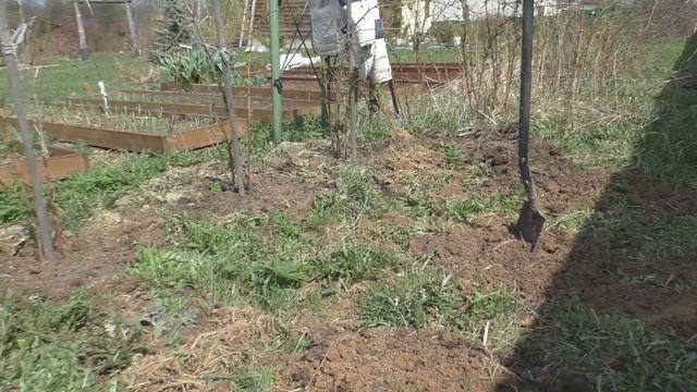 Малинник смотреть онлайн