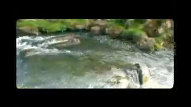 Александр Корнеев - Потоки.flv смотреть онлайн