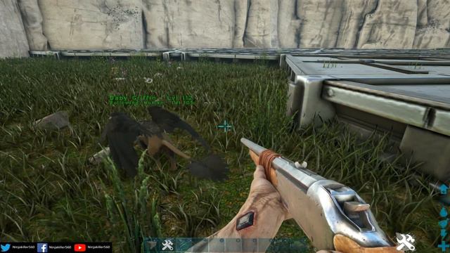 How to get Wild Tamable Baby creatures on your Ark Survival Evolved Server смотреть онлайн
