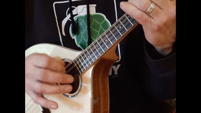 Nyberg Celtic Mandolin #2 , Tasmanian Blackwood смотреть онлайн