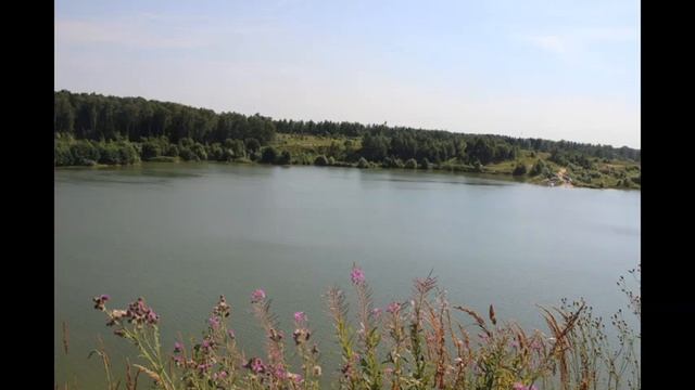 Участок в Домодедово КП Сиеста Центральная смотреть онлайн