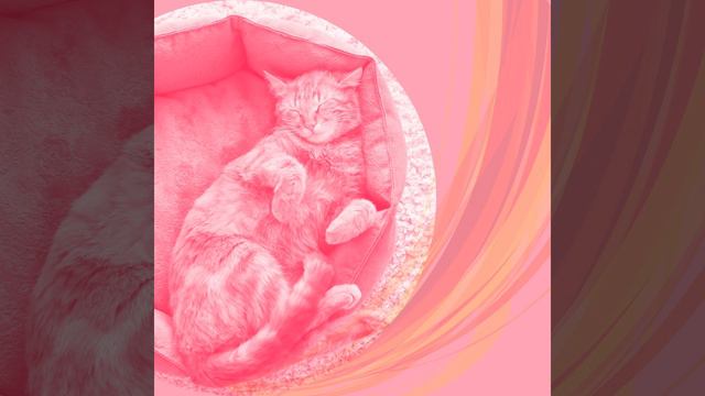 Мечты (Милые кошки) смотреть онлайн