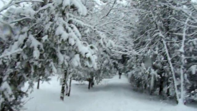 Нормально так засыпало (собака радуется снегу) смотреть онлайн