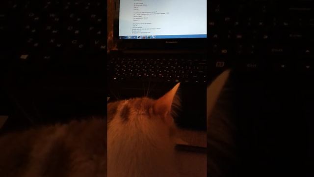 ДЕРЗАЙ (Елена Раду, стихи, читает автор) смотреть онлайн