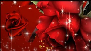 Футаж   Любовь и розы 002