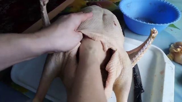 ЗАБОЙ ГУСЯ. смотреть онлайн