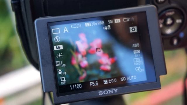 Функция Focus Peaking на камере Sony SLT A58 смотреть онлайн