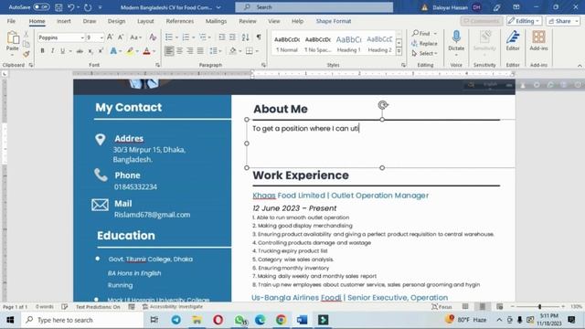 Modern CV Format Editable in MS Word смотреть онлайн