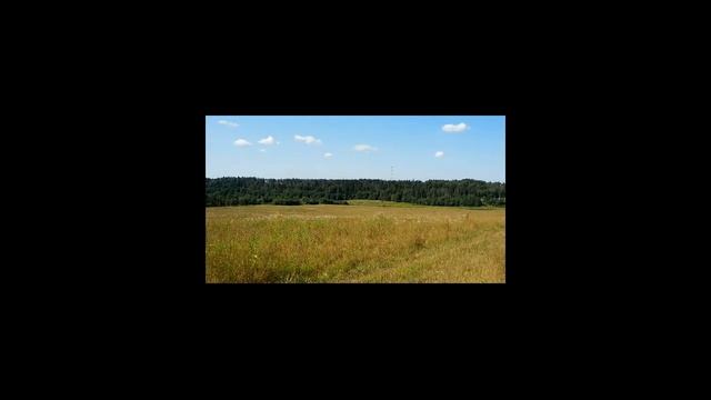 Старая Руза - Игнатьево. Прогулка июль 2021. смотреть онлайн