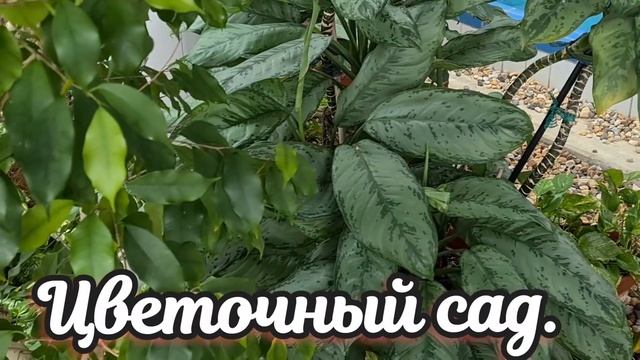Семья это счастье ???/Наши выходные ? смотреть онлайн