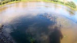 Поездка на квадроцикле Hammer250 на Омку. Все пошло не по плану.