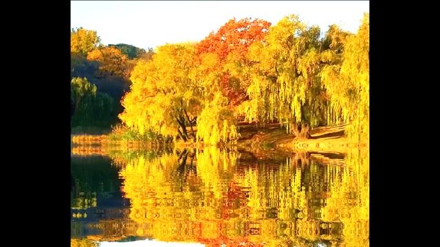 "Шагает осень" Наталья Грицкевич смотреть онлайн