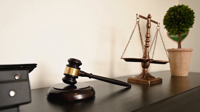 Услуги адвоката Пинегина Юлия москва смотреть онлайн