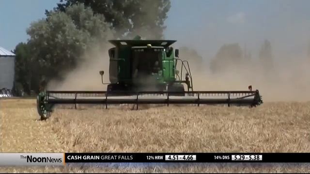 Montana Ag Network: Farmers react to USMCA deal смотреть онлайн