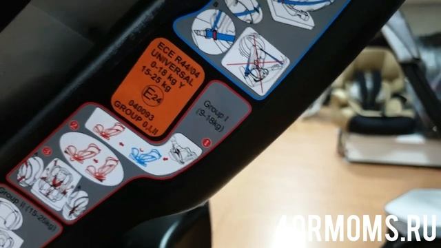 RANT FIESTA смотреть онлайн