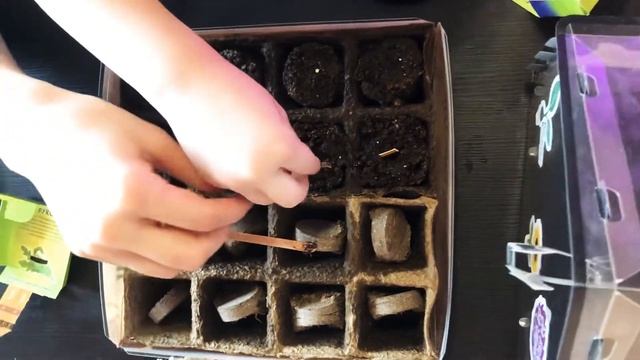 Сажаем семена лента теплица смотреть онлайн