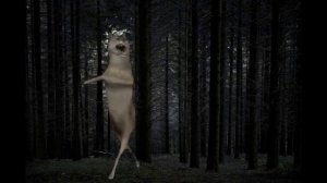 ИХ ВИЛЬ НИХТ - Волк станцевал (оригинал) 1 минута