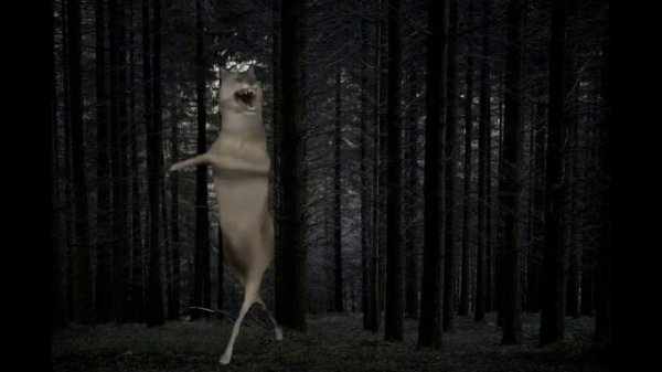 ИХ ВИЛЬ НИХТ - Волк станцевал (оригинал) 1 минута