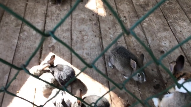 Томская писаница