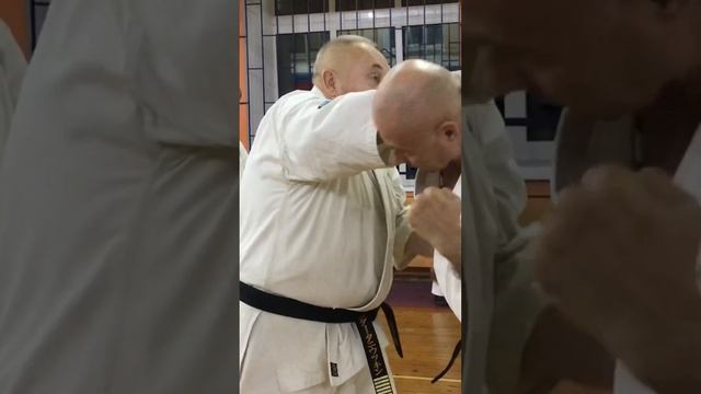 Кёкусинкай / Сихан Танюшкин / Проработка Сюто маэ маваси-укэ с партнёром (4) смотреть онлайн