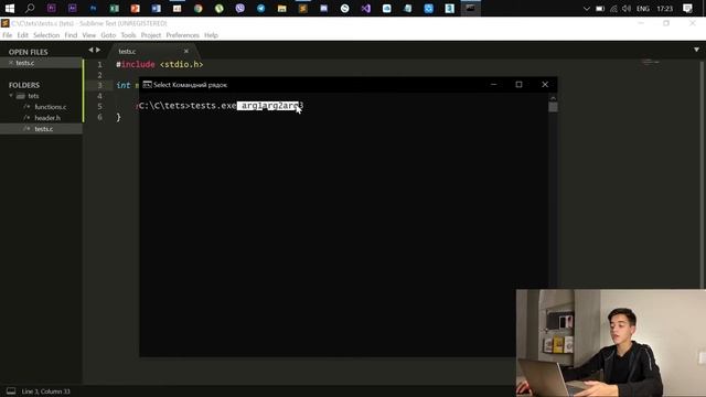 Аргументы функции main смотреть онлайн