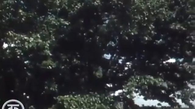 Арзамас в 1978 смотреть онлайн