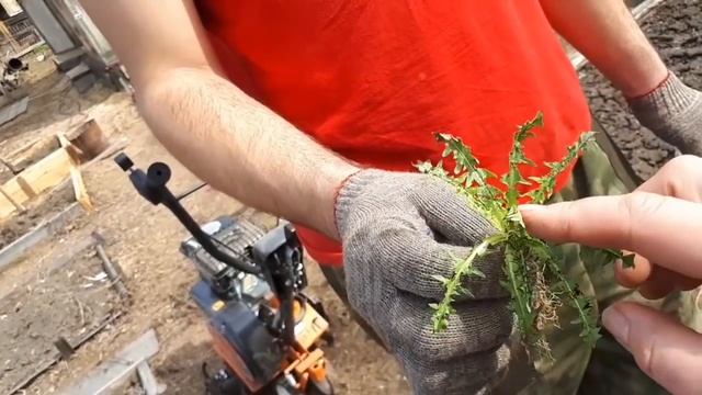 Сею морковь! смотреть онлайн